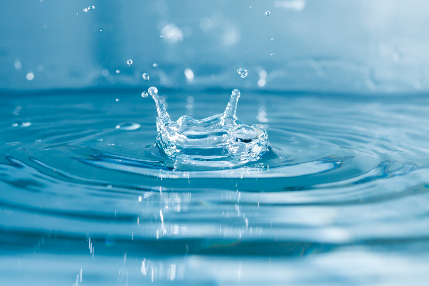 Fractional Executive Network